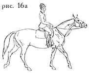 рис. 16а